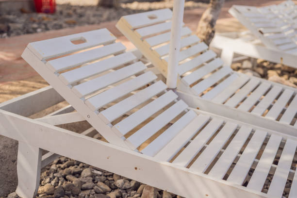 istock White sun loungers on the beach under palm trees 1447578868