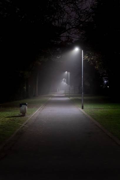 istock Walkway with street lights on in Giessen during night 1447582325