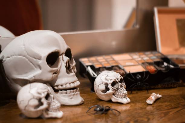 istock Closeup of sculls and spiders on a table for Halloween 1447583752