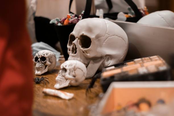 istock Closeup of sculls and spiders on a table for Halloween 1447583795