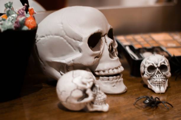 istock Closeup of sculls and spiders on a table for Halloween 1447583806
