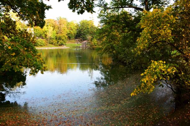 istock View of a lake with trees on its coasts under the sunlight 1447583878