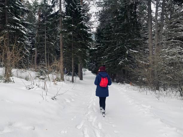 istock Female walking to explore a forest during the winter season 1447584498