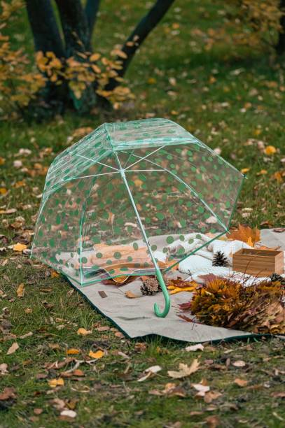 istock foliage colorful autumn 1447584762