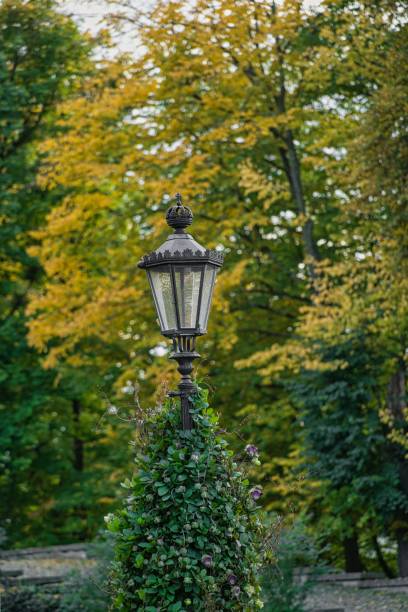 istock foliage colorful autumn 1447584784