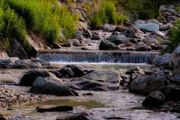 istock Small waterfall on stream water with stones and green plants in the forest 1447585748