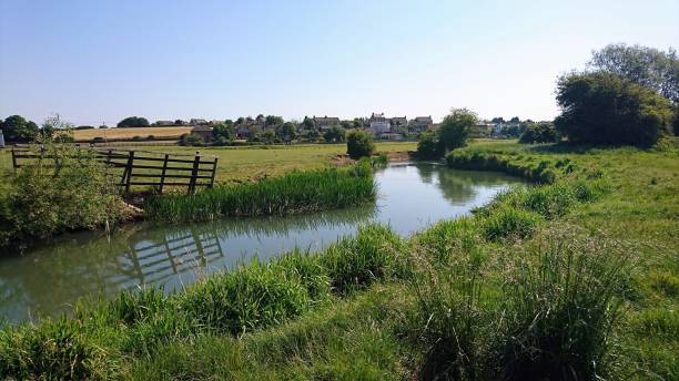 Morning view of the Windrush river surrounded with green grass