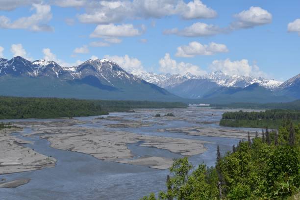 istock Lake covered by algae and mountains in the distance 1447586161