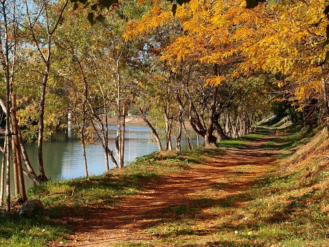 A walking trail through a vibrant autumn park in Montpellier