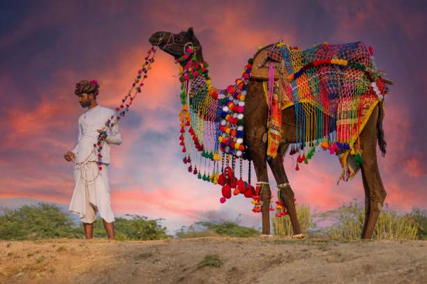 племя рабари в раджастхане - camel fair стоковые фото и изображения