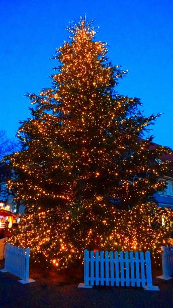 istock 11 meter Christmas tree decorated with fairy lights 1447587627
