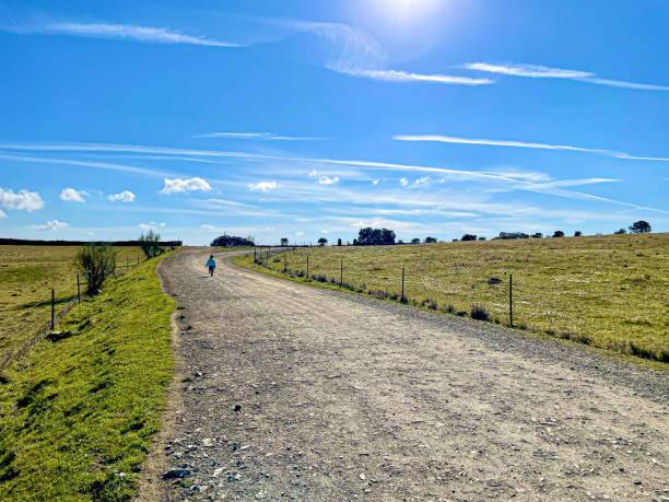istock Dirt road running through the landscape under a gorgeous blue sky 1447590066