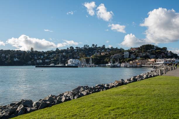 istock Cloudy blue sky over waterfront public park in Tiburon, CA, USA 1447590111