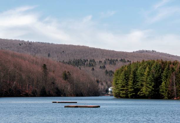 istock Lake surrounded by forests 1447591120