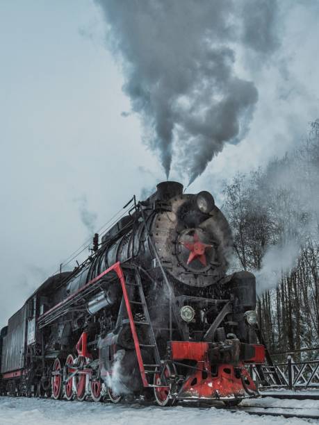 istock Vertical shot of a train riding in the forest in winter 1447591621