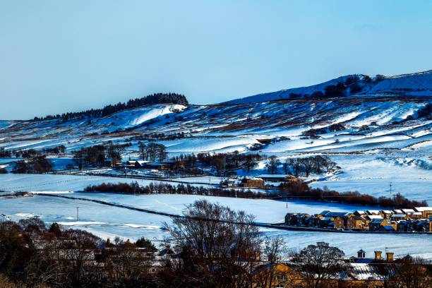 istock Low-angle of Bennachie snowy sunlit mountain with deciduous trees around clear sky background 1447592185