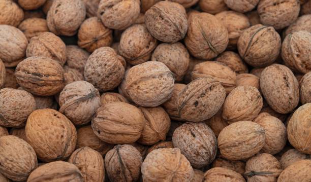 istock Closeup of a pile of walnuts in shell 1447592568