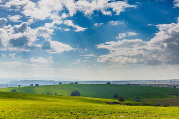 istock Landscape with green fields against a cloudy sky in Israel 1447594463