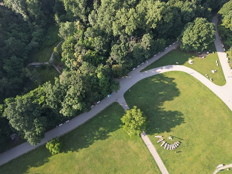 An aerial top view of benches on green lawn against trees in a park