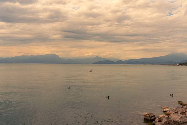 The beautiful and tranquil Lake Garda ducks swimming on the surface