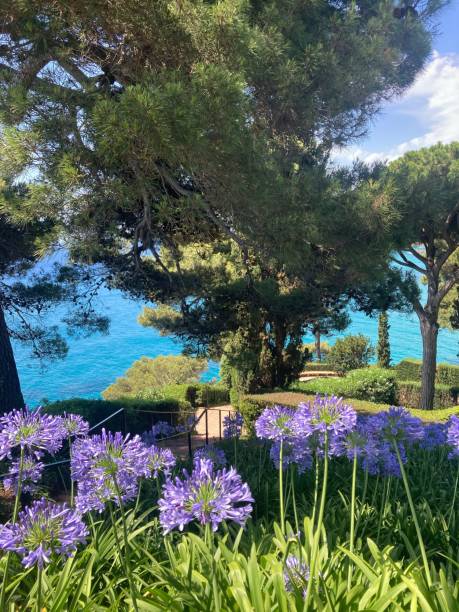 istock Vertical shot of a blue sea view 1447595757