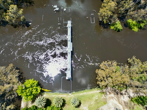 An aerial view of the flooded forest in Deniliquin town