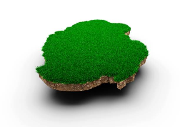 istock 3D rendering of a mossy Qatar-shaped map isolated on white background 1447597523