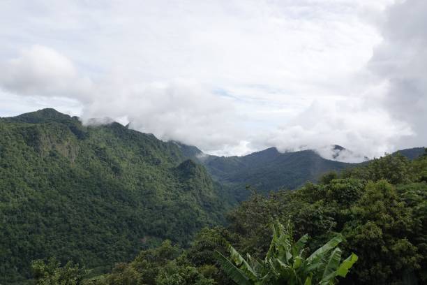 istock Breathtaking view of mountains with green trees 1447597538