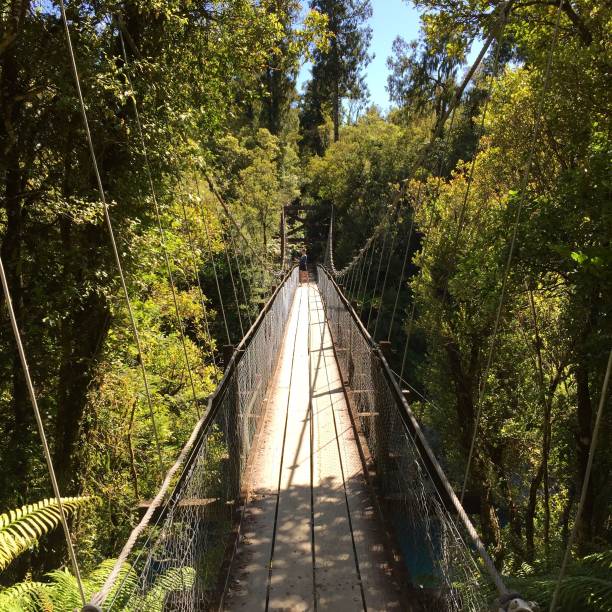 istock Hanging bridge at Hokitika Gorge 1447598087
