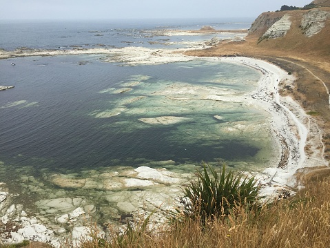 After 2016 earthquake hit Kaikoura (South Island, New Zealand), most of the seabed rises up and changes the landscape of the shoreline in Kaikoura