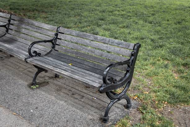 istock Old wooden bench in a green park 1447601644