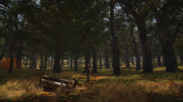istock Graphic resources for sustainable development goals, biodiversity, a growing economy and ecology. 3D Render 1447603433