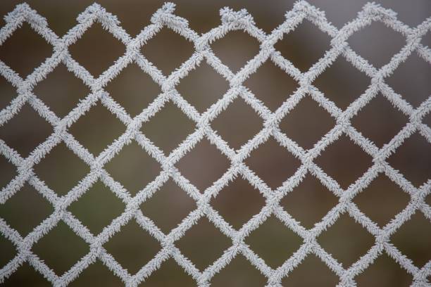The frostbite on a metal fence in winter