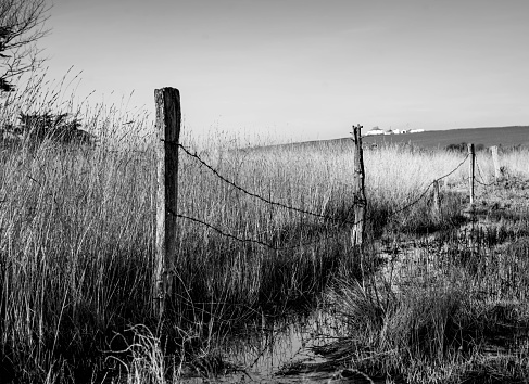 A grayscale shot of a wooden fence with barbed wire in a field in the countryside