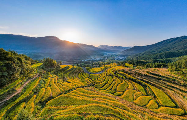 istock Autumn landscape of terraced fields and countryside 1447607730