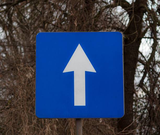 istock Blue one way road sign 1447609065