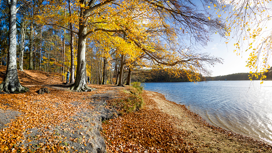 Vacations in Germany - sunny autumn day at the lake, Mecklenburg-vorpommern