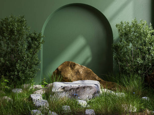Stone platform in tropical forest for product presentation and green wall.