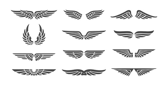 Wing badges. Eagle wings set, retro insignias, winged signs for aviation business emblems tattoos labels. Illustration of feather eagle, bird tattoo label