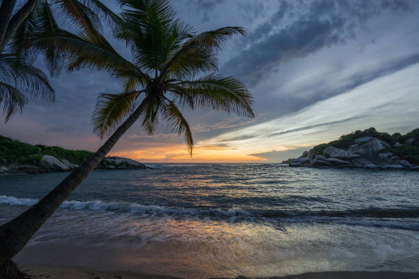 Romantic sunrise over the ocean at Carbo San Juan in Tayrona national park Romantic and scenic sunrise over the ocean at Carbo San Juan in Tayrona national park, Colombia, South America / Central America. Tropical palm tree on the Caribbean beach with clouds in the morning tayrona national park stock pictures, royalty-free photos & images