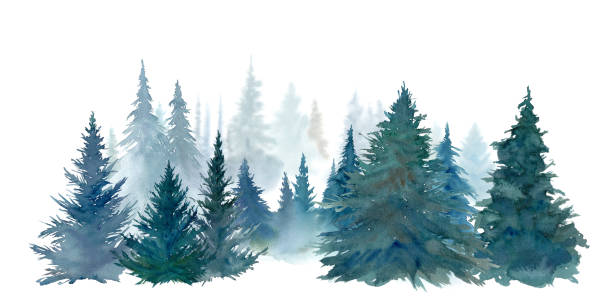 istock Watercolor illustration of coniferous forest. green forest landscape. 1447634021