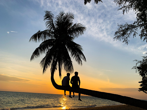 Silhouette of friends sitting On a coconut tree by the beach during sunset time