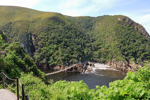 suspension bridge over storm river, tsitsikamma national park in south africa, garden route
