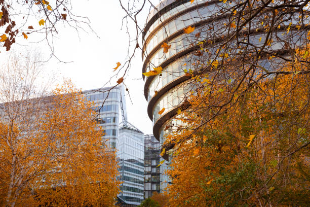 Modern architecture in the London business district on the south bank of the river Thames. The glass and steel structures are surrounded by autumnal trees.