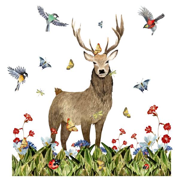 istock Grass dragonfly flower deer insect bird watercolor 1447653834