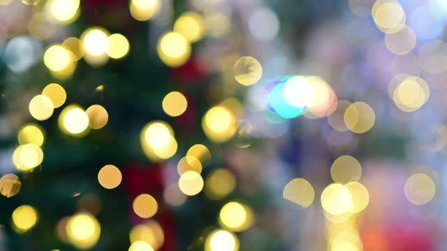 Christmas Lights and Christmas Tree Backgrounds
