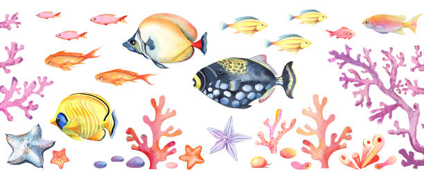 istock Big set of tropical fisch in watercolor 1447659986
