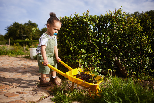 Adorable little girl with a pacifier pushing a toy wheelbarrow full of seedlings outside along a path in her family's garden