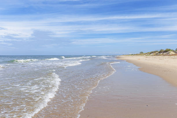 istock Beautiful tropical beach with blue sky with clouds as abstract nature background. Scenic landscape with sparkling waves ocean, aesthetic beauty nature. Summer day on Baltic sea, Curonian spit. 1447665915