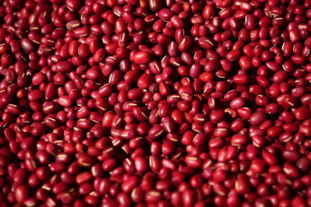istock Adzuki Beans or Japanese Red Beans in nature background. 1447671288